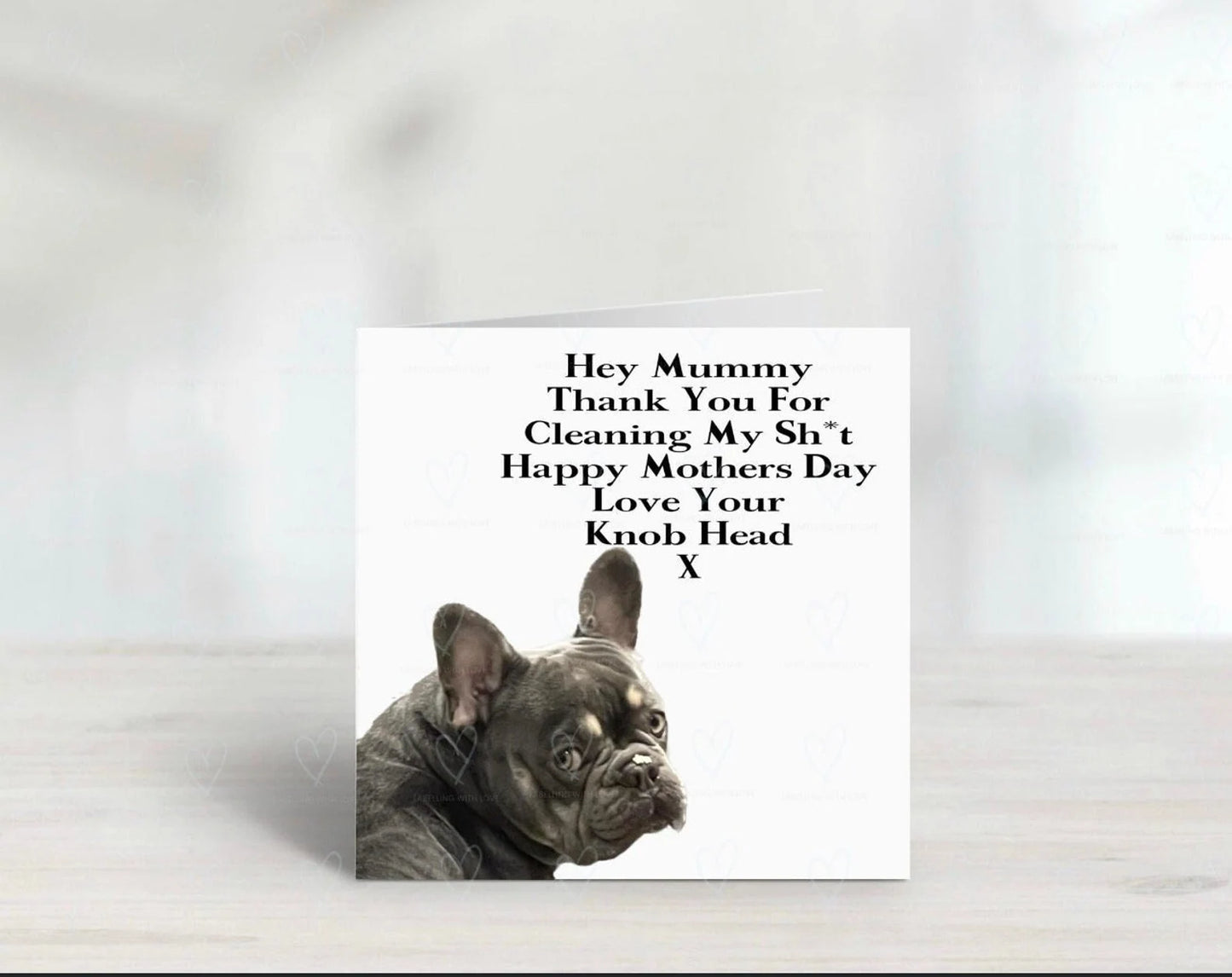 Funny Pet